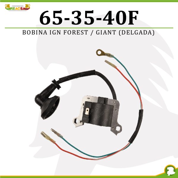 BOBINA IGN FOREST/GIANT (DELGADA)
