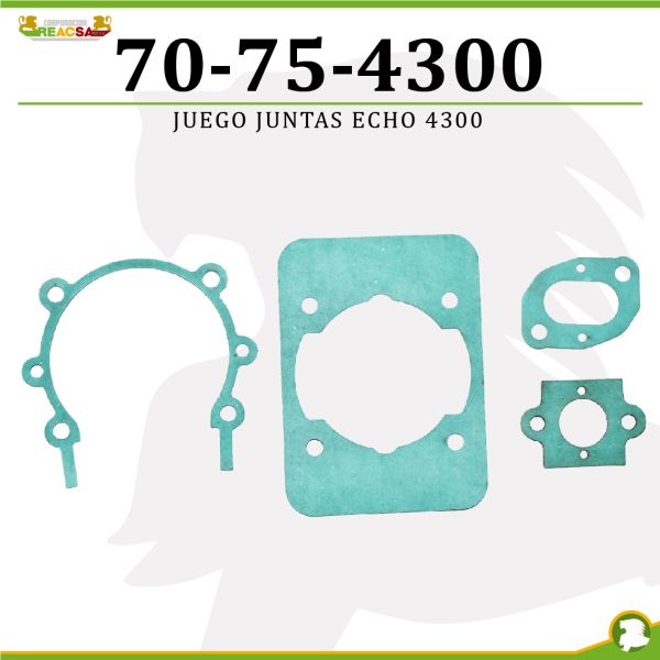 JUEGO JUNTAS ECHO 4300