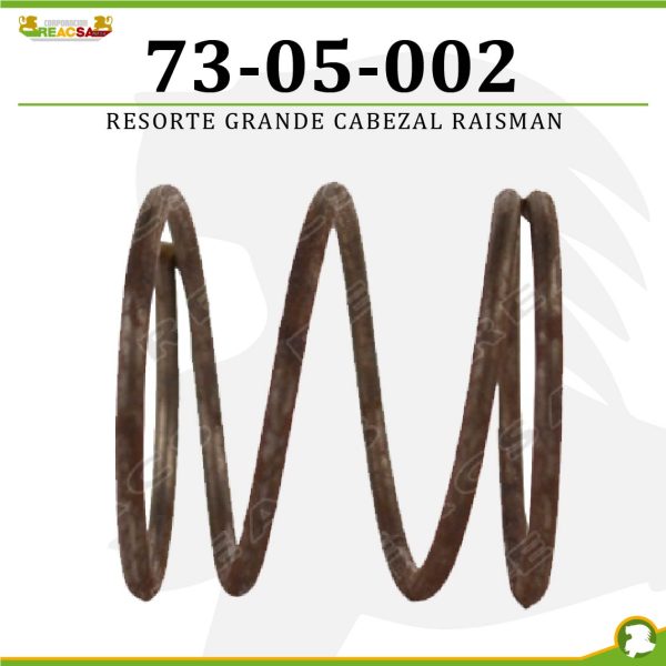 RESORTE GRANDE CABEZAL RAISMAN